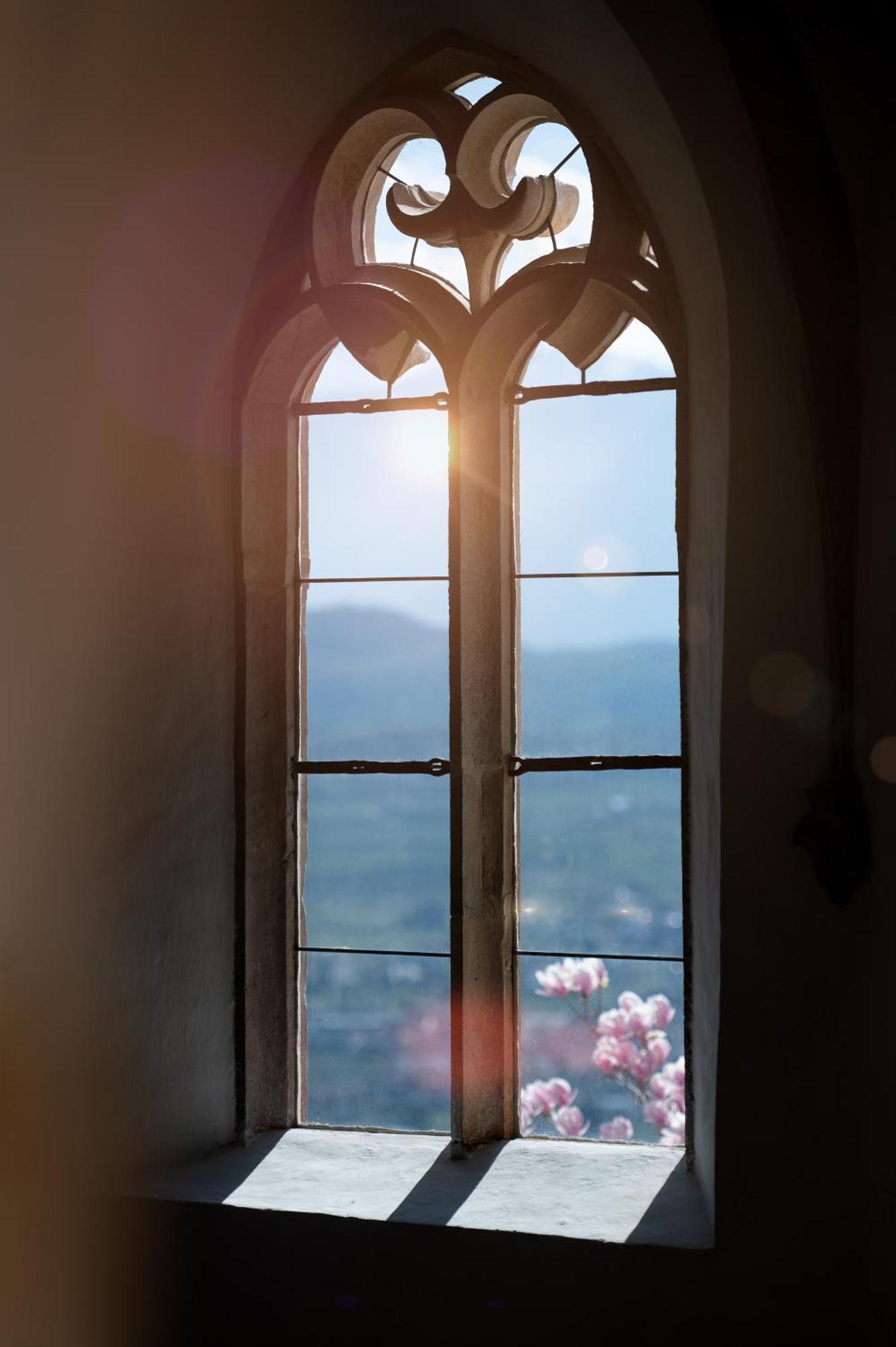 Schloss Freudenstein Appiano Sulla Strada Del Vino Zewnętrze zdjęcie